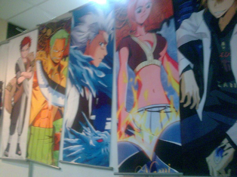 2010年厦门第三届国际动漫节上贩卖的周边2010年厦门第三届国际动漫节上贩卖的周边