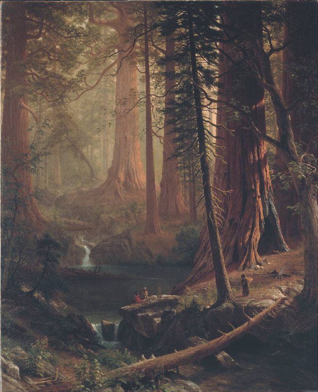 #艺术品 《加利福尼亚的巨型红杉树》（Giant Redwood Trees of California）是德国裔美国画家阿尔伯特·比尔施塔特（Albert Bierstadt）于1874年创作的一幅壮丽风景画，展现了美国西部自然奇观的宏伟与神圣