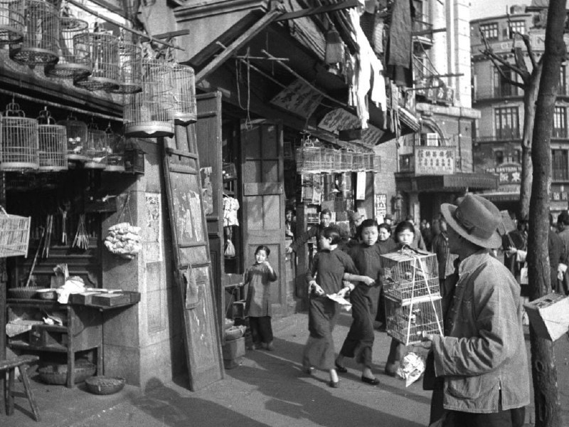 上海 1937上海 1937