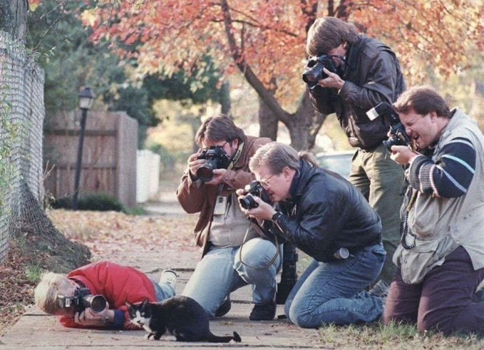 狗仔队围着比尔·克林顿的猫