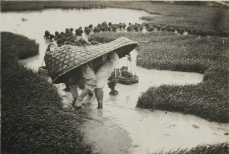 1930年的湖南衡山1930年的湖南衡山