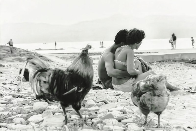 《Saint Tropez, 1960》Henri Cartier-Bresson 是20世纪最具影响力的摄影师之一，被誉为“现代摄影的奠基人”