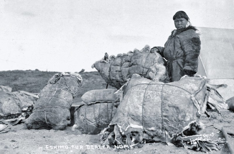 1893 年阿拉斯加驯鹿服务局的成立后带来了大批充满希望的伊努皮亚特人