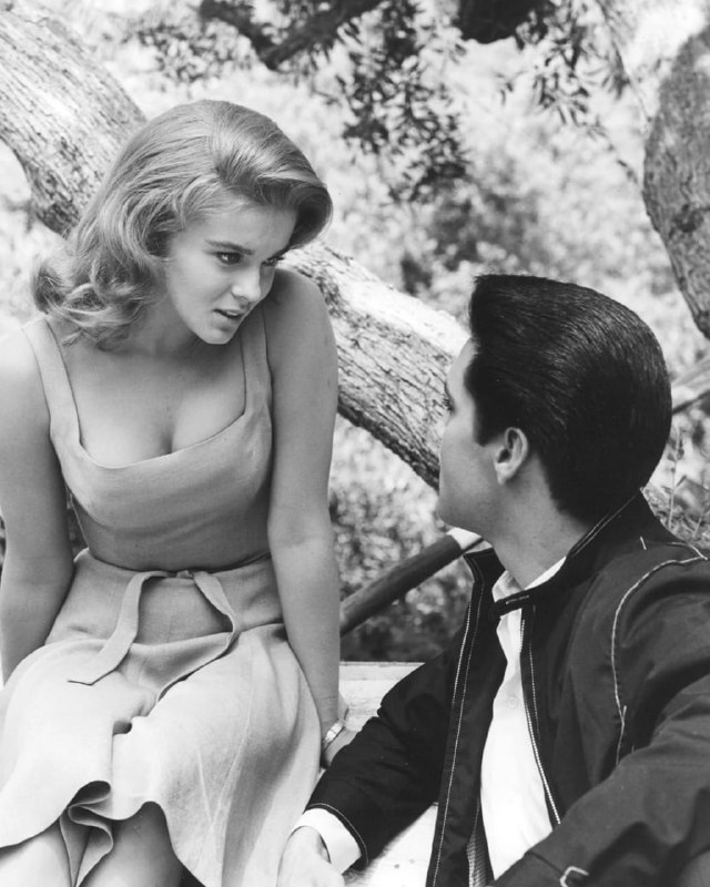#名人 安·玛格丽特（Ann-Margret）和猫王埃尔维斯·普雷斯利（Elvis Presley）1960年代