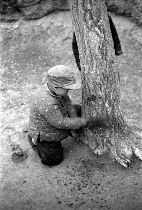 1942年，德国摄影师福尔曼（John Phillips）在中国拍摄了河南大饥荒的真实画面