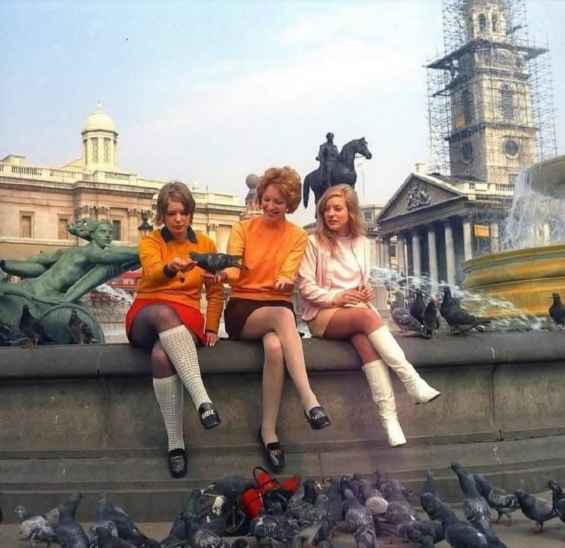 1970年代在伦敦特拉法加广场喂鸽子