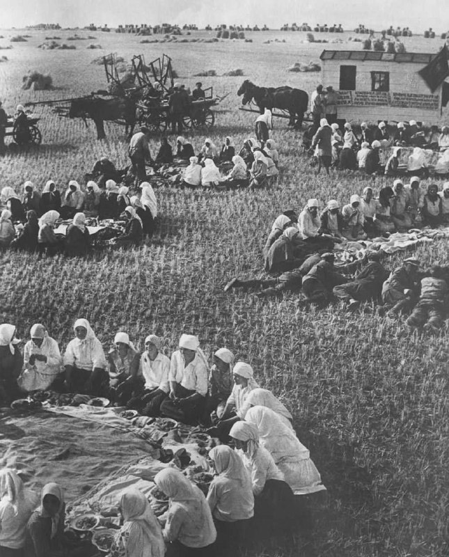 1934年，苏联农民们的田间集体午餐