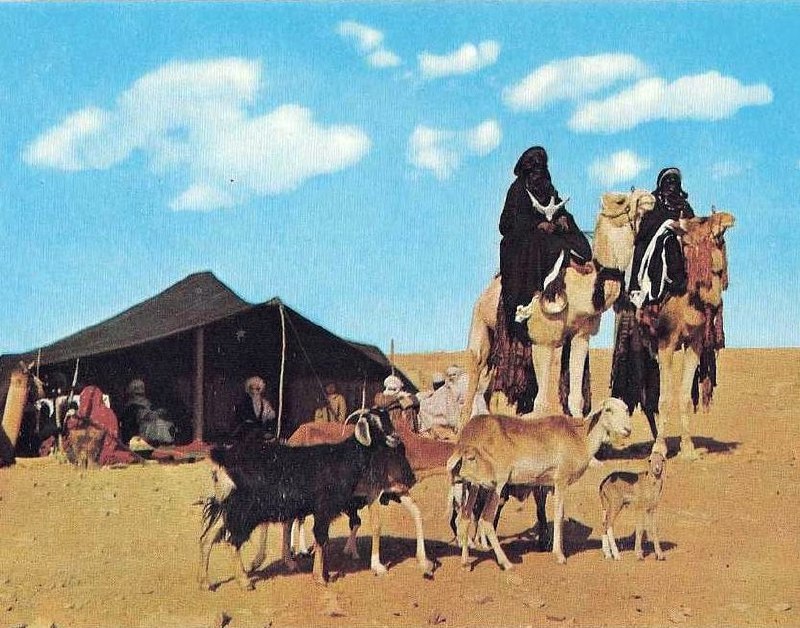 1960年代的阿尔及利亚图阿雷格人图阿雷格人（Tuaregs）是生活在撒哈拉沙漠地区的游牧民族，主要分布在阿尔及利亚、马里、尼日尔和利比亚