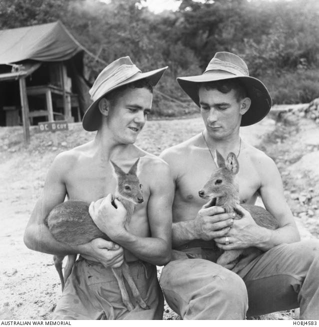 北韩入侵南韩，朝鲜战争爆发