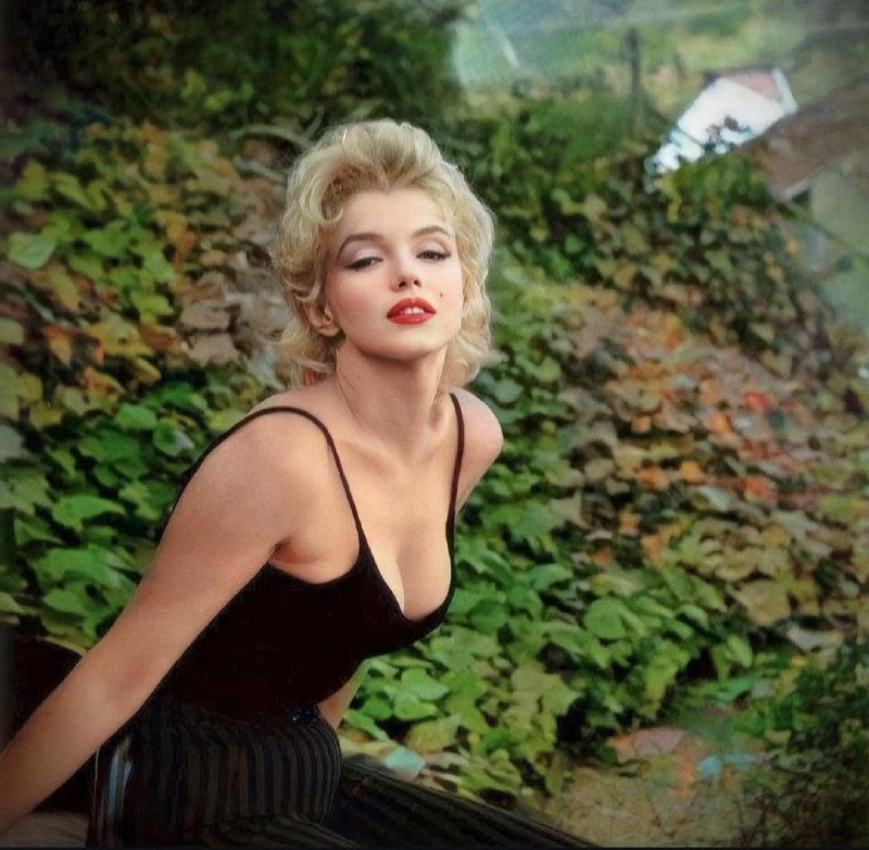 #名人 Marilyn Monroe in 1956.玛丽莲梦露 在 1956