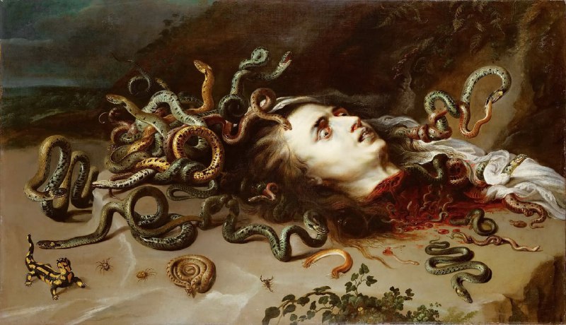 #艺术品《美杜莎》（Medusa）是由佛兰芒画家彼得·保罗·鲁本斯（Rubens）于大约1618年创作的一幅画作，展示了梅杜莎的断头