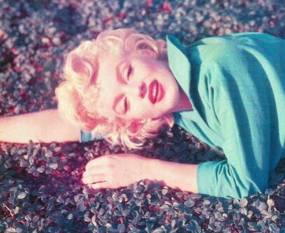 1954年，玛丽莲 梦露（Marilyn Monroe）在哈里克罗克位于棕榈泉的别墅花园里拍照