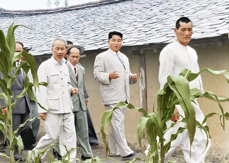 1960 年代，胡志明和金日成参观朝鲜农场