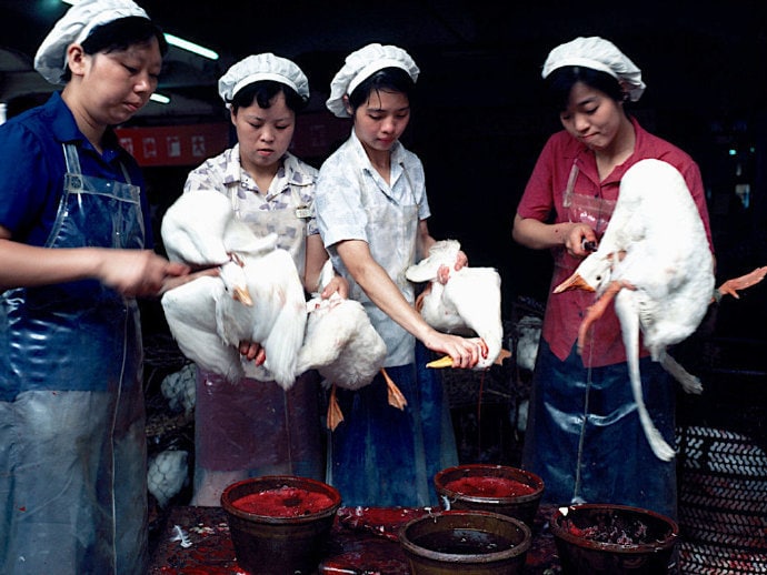 上海生活，1979年